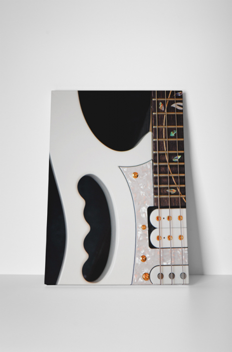Tablou canvas : Chitara alba [2]
