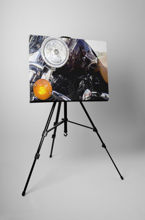 Tablou canvas : Harley Davidson [3]
