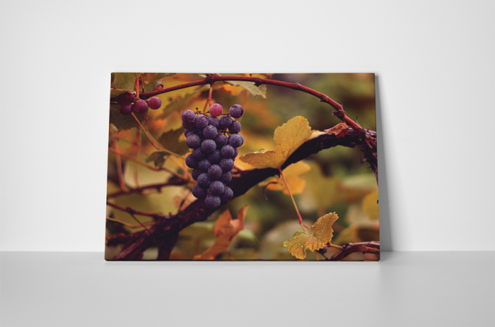 Tablou canvas : Vita de vie [2]