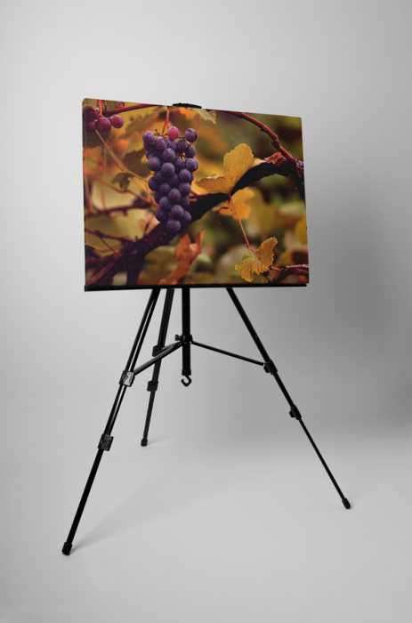 Tablou canvas : Vita de vie [3]
