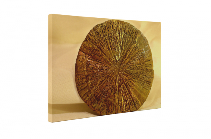 Tablou canvas : Sulfura de fier - pirita [5]
