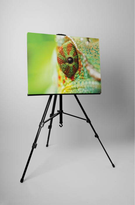 Tablou canvas : Ochii cameleonului [3]