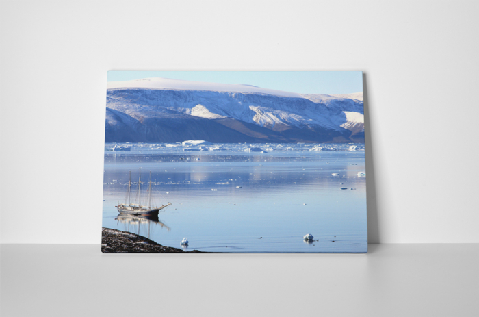 Tablou canvas : Apa cu gheata [2]