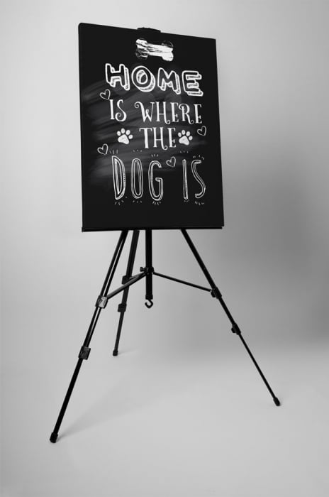 Tablou canvas : Home and dog [4]