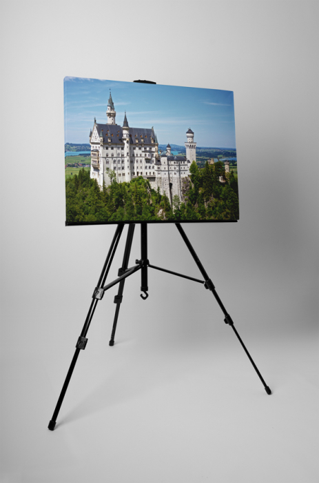 Tablou canvas : Castelul Neuschwanstein [3]