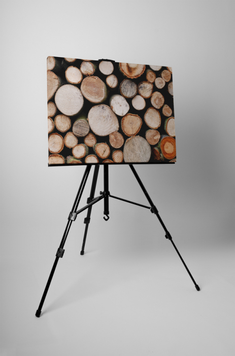 Tablou canvas : Gramada de lemne [3]
