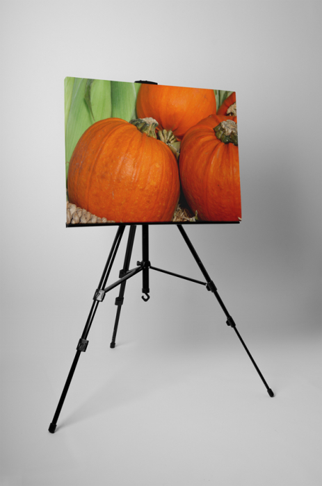 Tablou canvas : Dovleac [3]