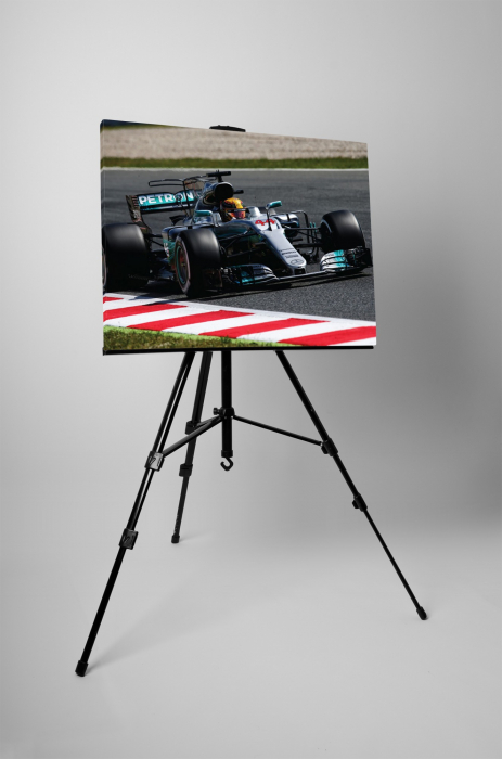 Tablou canvas : F1 Mercedes Lewis Hamilton [3]