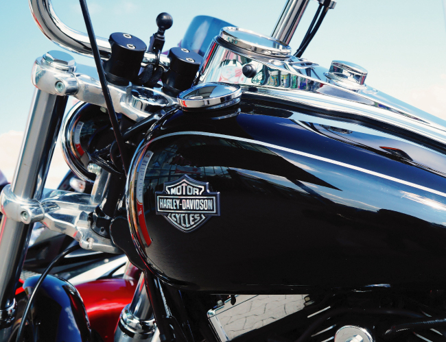 Tablou canvas : Motocicleta Harley [4]
