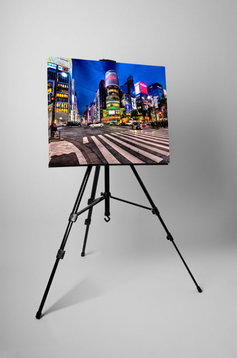 Tablou canvas : Tokyo's Downtown Ginza [3]
