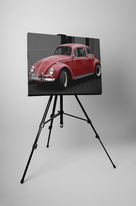 Tablou canvas : Beetle rosu [3]