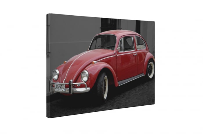 Tablou canvas : Beetle rosu [5]