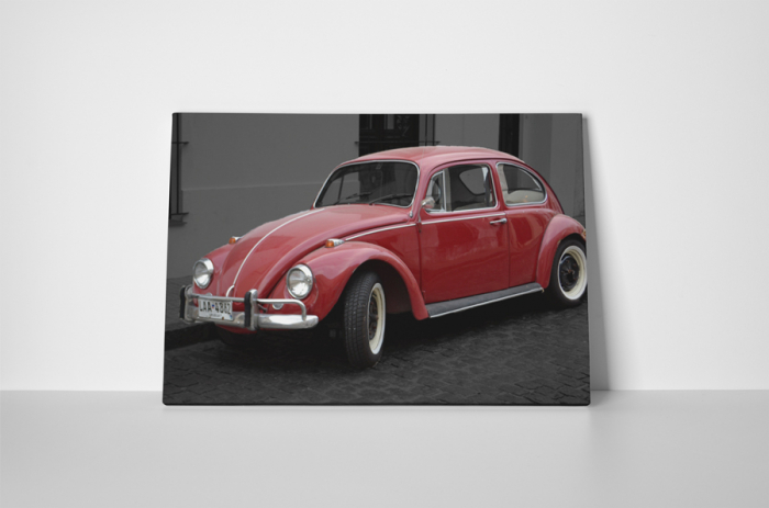 Tablou canvas : Beetle rosu [2]