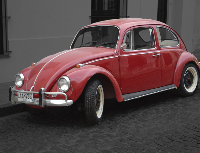 Tablou canvas : Beetle rosu [4]