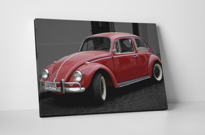 Tablou canvas : Beetle rosu [1]