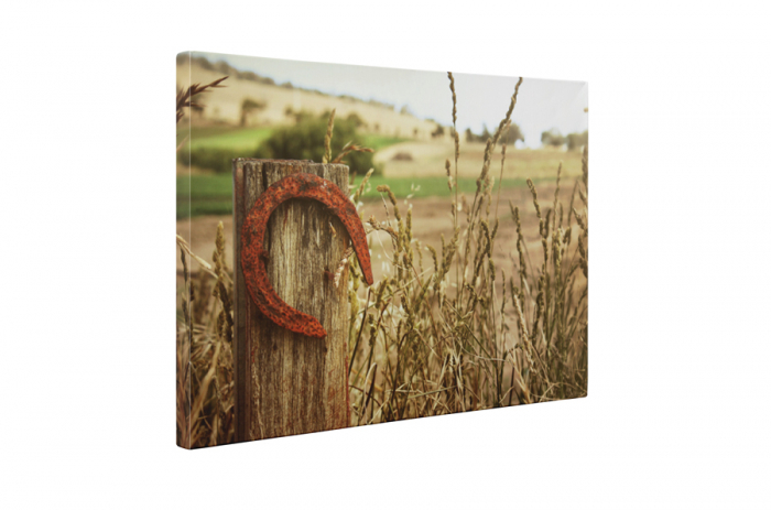 Tablou canvas : Potcoava ruginita [5]