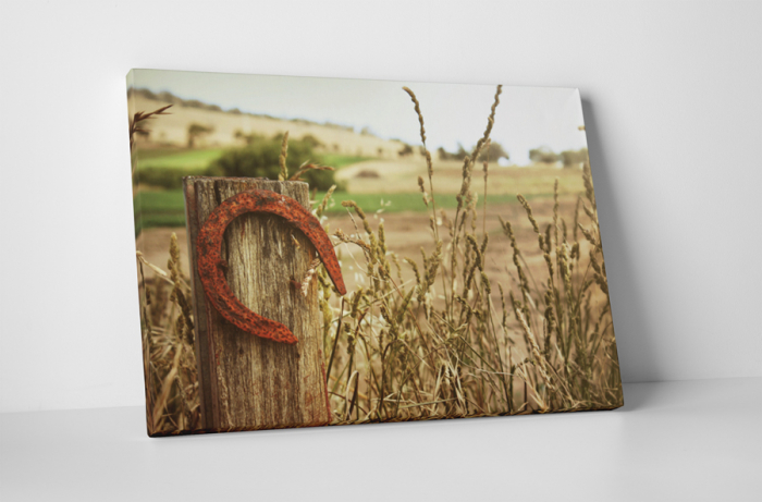 Tablou canvas : Potcoava ruginita [1]