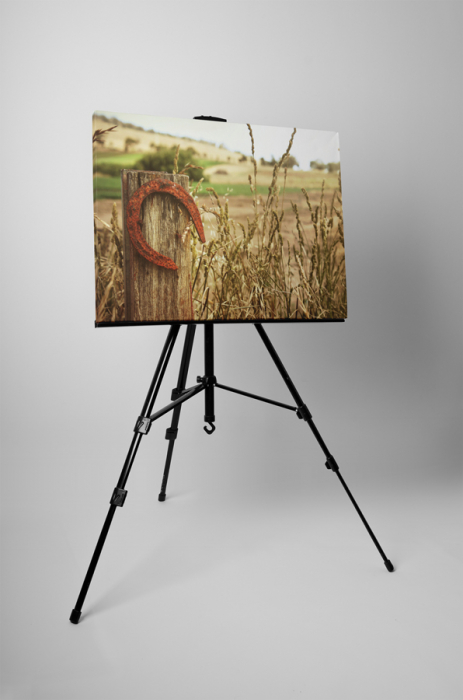 Tablou canvas : Potcoava ruginita [3]