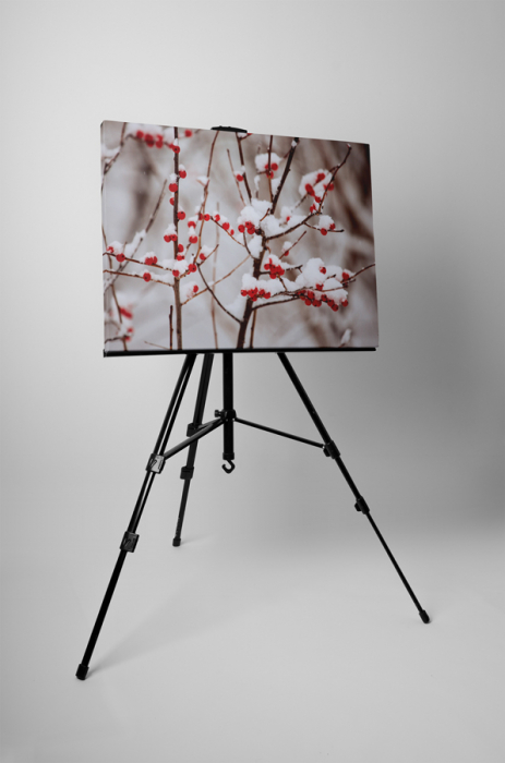 Tablou canvas : Boabe de macese [3]