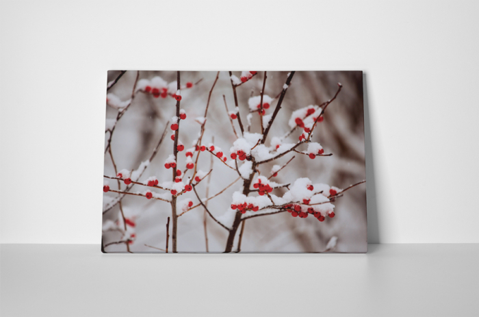Tablou canvas : Boabe de macese [2]