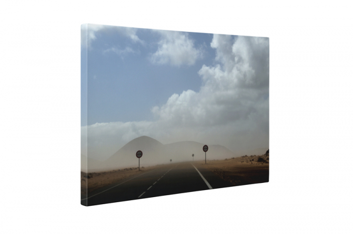 Tablou canvas : Furtuna de vant [5]