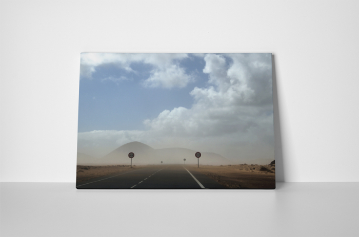 Tablou canvas : Furtuna de vant [2]