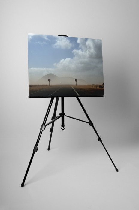 Tablou canvas : Furtuna de vant [3]