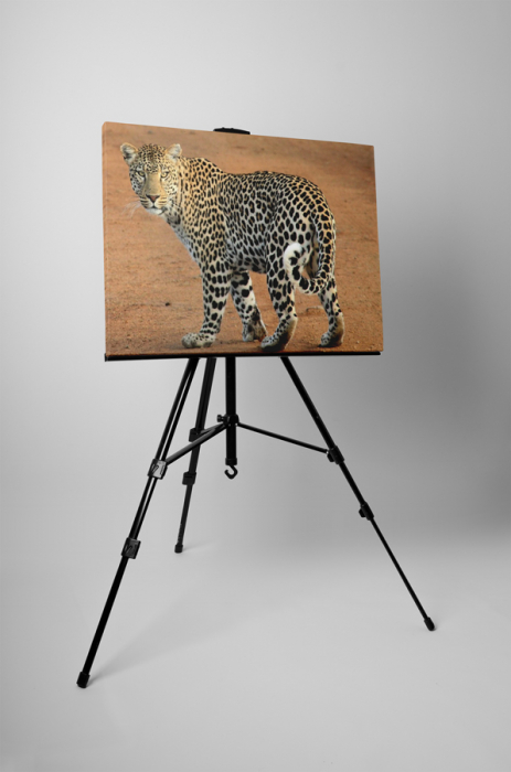 Tablou canvas : Leopard [3]