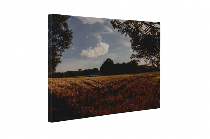 Tablou canvas : Copacul misterios [5]