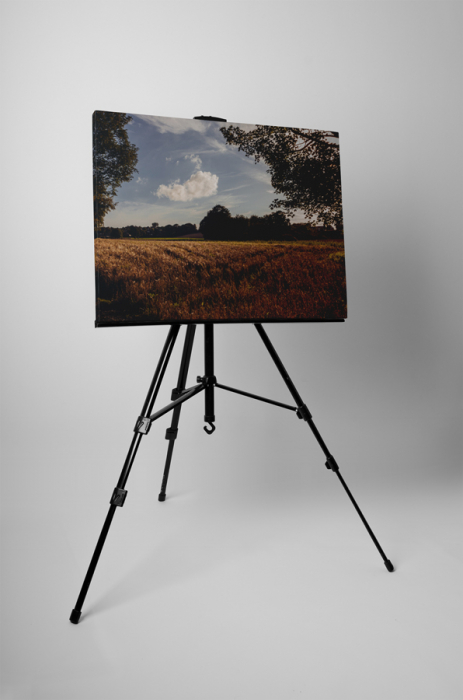 Tablou canvas : Copacul misterios [3]