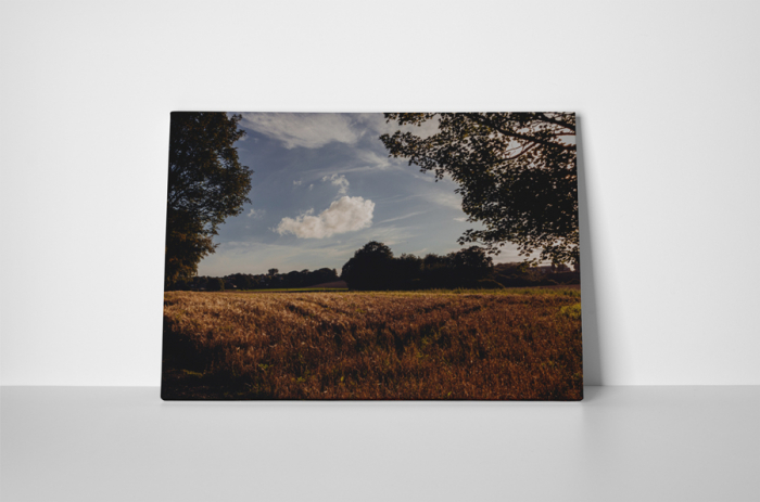 Tablou canvas : Copacul misterios [2]