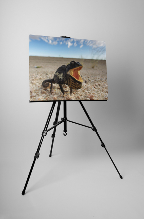 Tablou canvas : Cameleonul flamand [3]