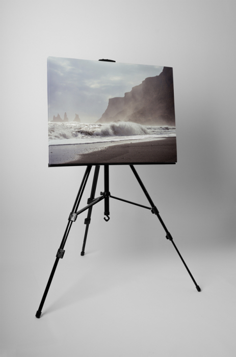 Tablou canvas : Marea salbatica [3]