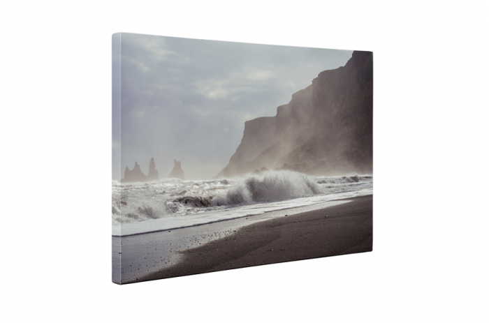 Tablou canvas : Marea salbatica [5]