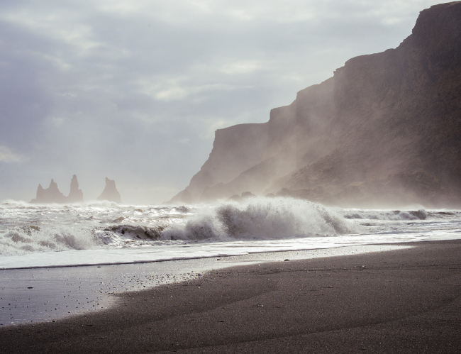 Tablou canvas : Marea salbatica [4]