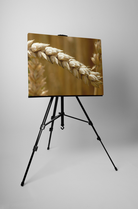 Tablou canvas : Grau copt [3]