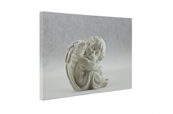 Tablou canvas : Statuie de inger [5]
