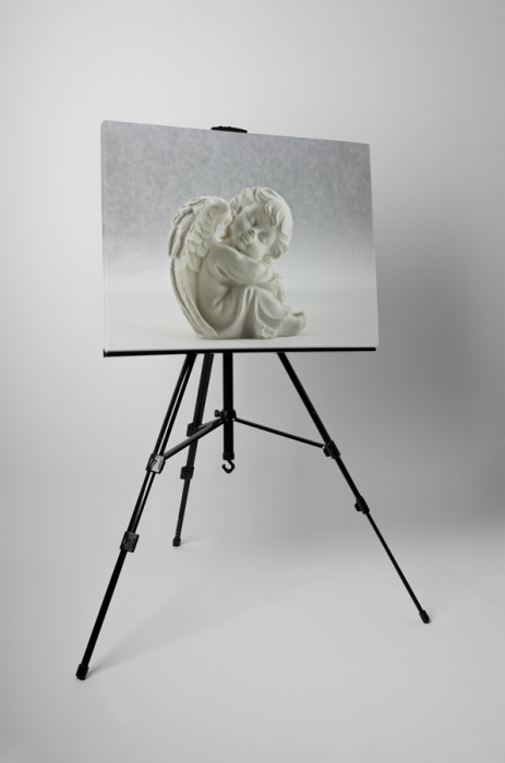 Tablou canvas : Statuie de inger [3]