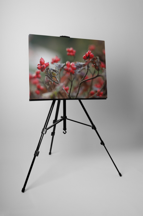 Tablou canvas : Boabe de macese coapte [3]