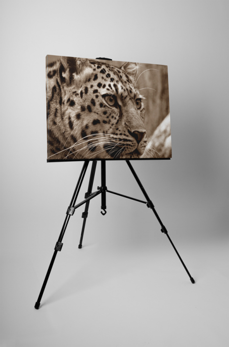 Tablou canvas : Pantera [3]