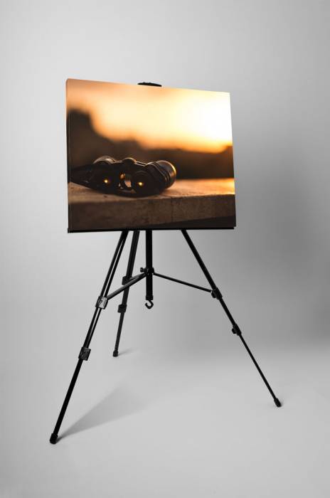 Tablou canvas : Binoclu la apus de soare [3]