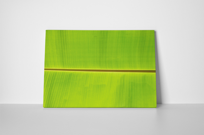 Tablou canvas : Simetrie naturala [2]