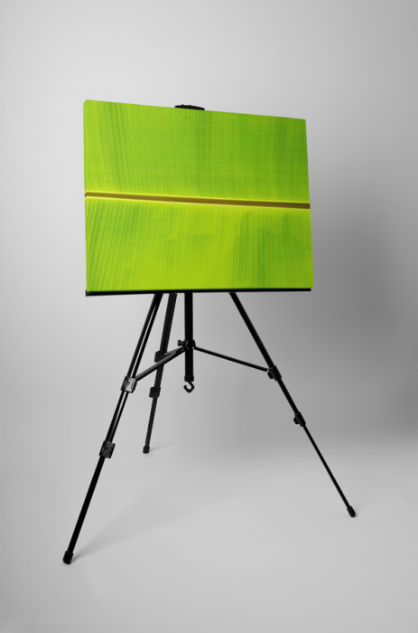 Tablou canvas : Simetrie naturala [3]