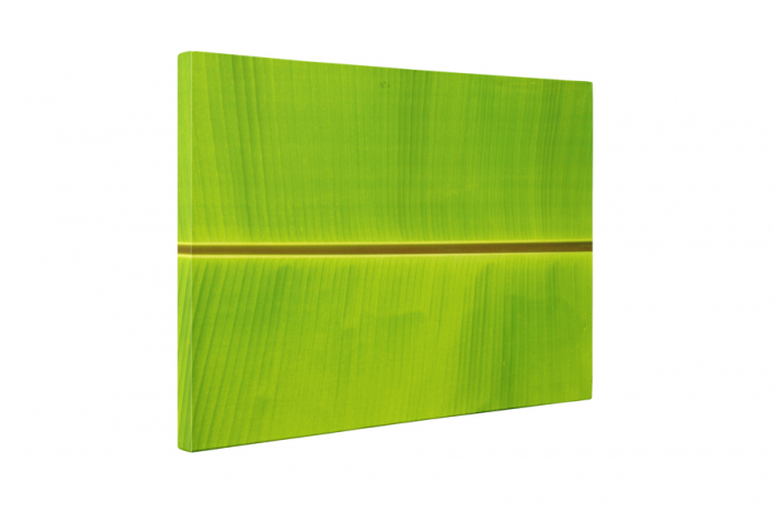 Tablou canvas : Simetrie naturala [5]