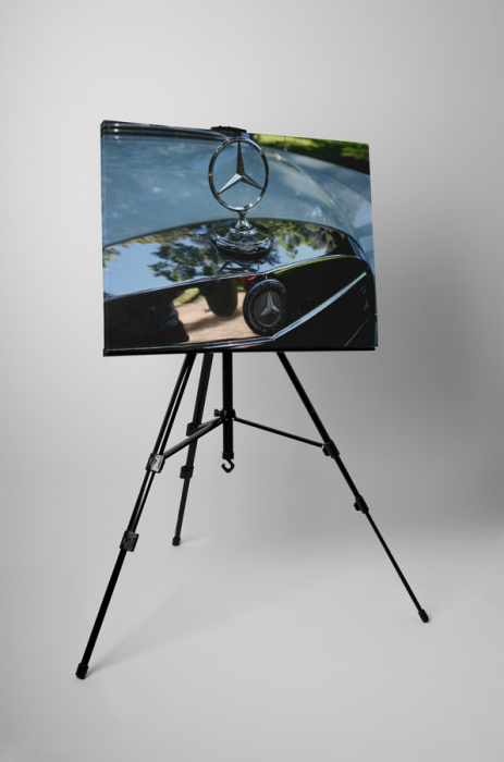 Tablou canvas : Sigla Mercedes [3]