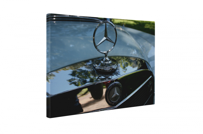 Tablou canvas : Sigla Mercedes [5]