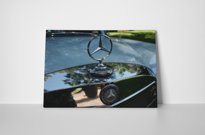 Tablou canvas : Sigla Mercedes [2]