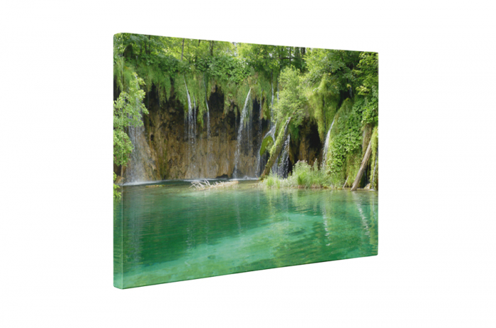 Tablou canvas : Cascada speciala [5]