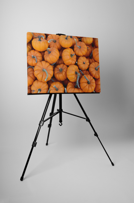 Tablou canvas : Dovlecei [3]