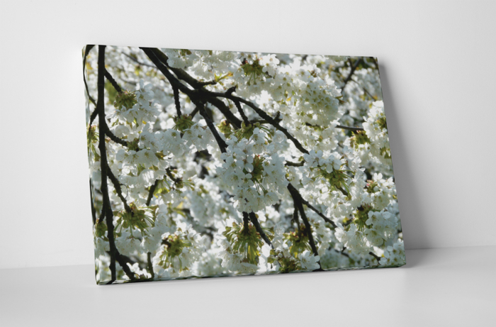 Tablou canvas : Mar inflorit [1]